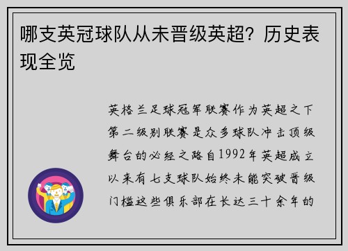 哪支英冠球队从未晋级英超？历史表现全览